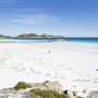 Lucky Bay