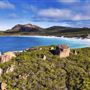 Thistle Cove