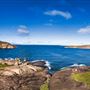 Thistle Cove