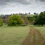 Golden Valley Tree Park