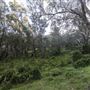 Banyowla Regional Park