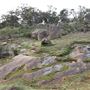 John Forrest National Park