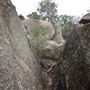 John Forrest National Park