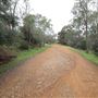 Wungong Regional Park