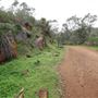Wungong Regional Park
