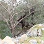 Wungong Regional Park