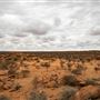 Wheatbelt Region