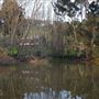 Idlewild Bridgetown