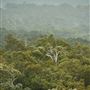 Pemberton - Warren National Park