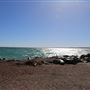 Geraldton - Pages Beach
