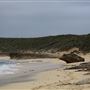 Surfers Point