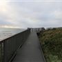 Surfers Point