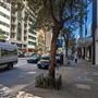 King Street