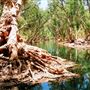 Eel Pool, East of Nullagine, Pilbara