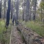 Wellington National Park