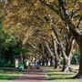 Hyde Park