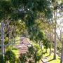 Kings Park