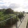 Avalon Beach