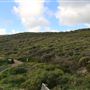 Yallingup - Rabbit Hill