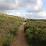 Yallingup - Rabbit Hill