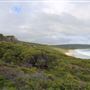 Yallingup - Torpedo Rock
