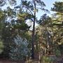 Banyowla Regional Park