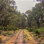 Dwellingup