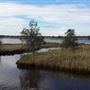 Murray River and Peel-Harvey Estuary