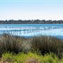 Leschenault Peninsula Conservation Park