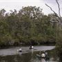 Margaret River