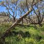 Leschenault Peninsula Conservation Park