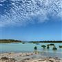 Coconut Wells (Goolarabooloo Millibinyarri)