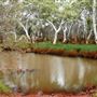 Gascoyne River