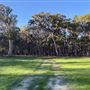 Shambala Forest Retreat