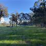 Shambala Forest Retreat