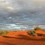 Bullara Station