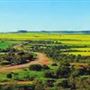 Chapman Valley