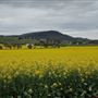 York - Side Roads and Valleyscapes