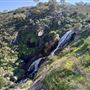 Lesmurdie Falls