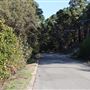 Slab Gully Road
