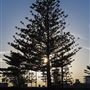 Scarborough Beach and Promenade