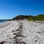 Milligan Island Eco Camping