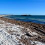 Milligan Island Eco Camping