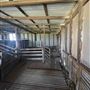 Shearing Shed @ Duke's Vineyard