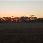 Coorow Farm