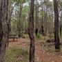 Beelu National Park