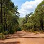 Beelu National Park