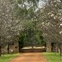 Sarlia Park