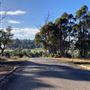 84 Balinga Drive