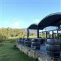 Duke's Vineyard
